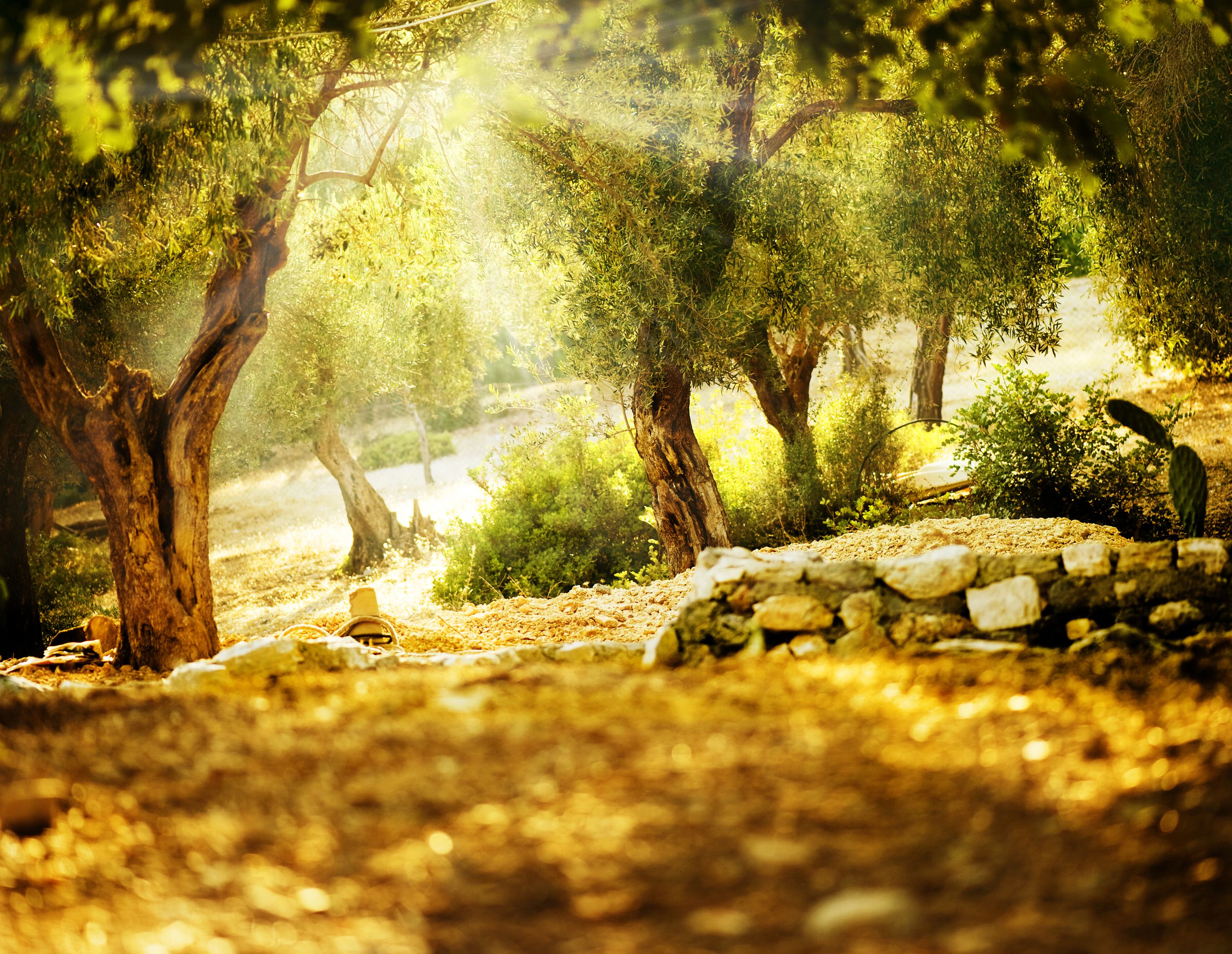 shutterstock_84462340